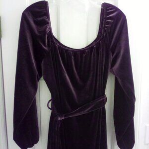 LA Thread Purple Velvet Dress
